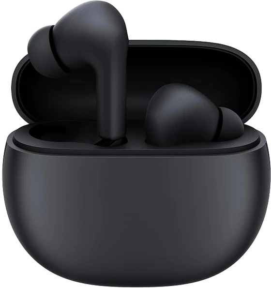 Wireless earbuds